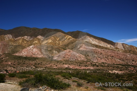 Altitude bush sky argentina landscape.