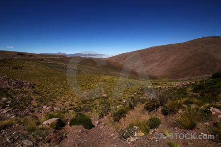 Altitude mountain cloud south america bush.