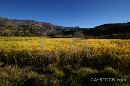 Altitude sky landscape mountain andes.