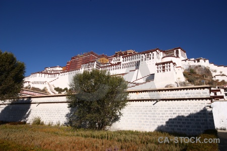 Altitude wall potala palace tree unesco.