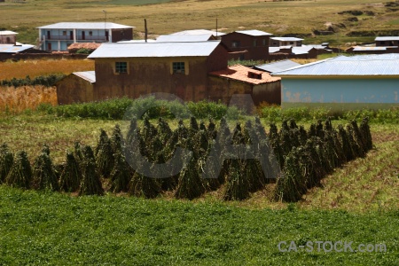 Andes andean explorer building altitude grass.