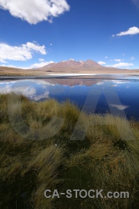 Andes bolivia reflection grass sky.