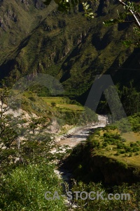 Andes grass tree water river.