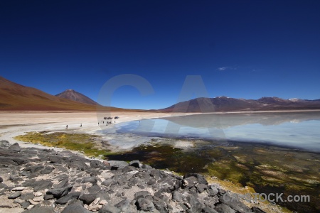 Andes reflection licancabur plant altitude.