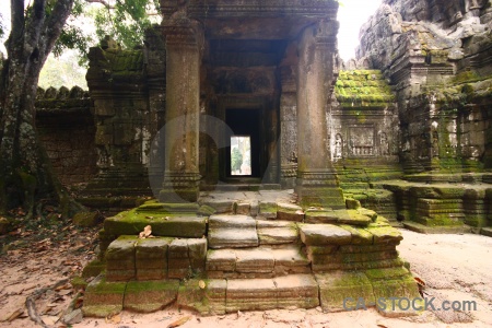 Angkor ruin pillar stone tree.