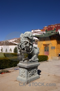 Animal china potala palace asia tibet.