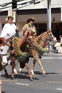 Animal horse male person model.