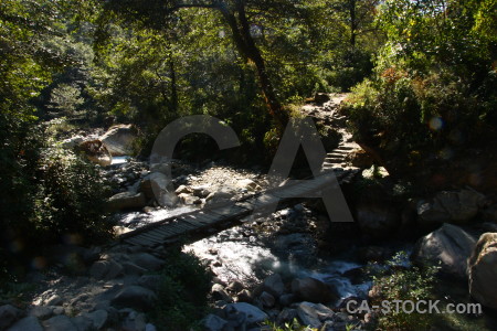 Annapurna sanctuary trek rock tree water valley.