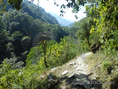 Annapurna sanctuary trek south asia path sky tree.