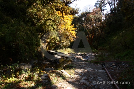 Annapurna sanctuary trek water south asia tree bridge.