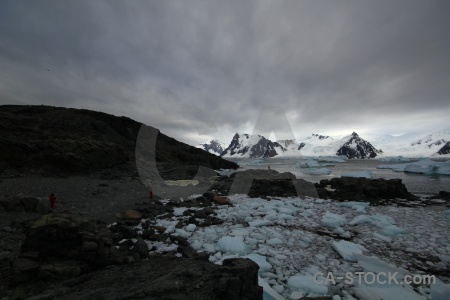 Antarctic peninsula horseshoe island snow antarctica cruise square bay.