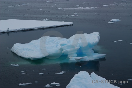 Antarctic peninsula sea gunnel channel adelaide island water.