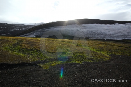 Antarctica cruise plant sky volcano moss.