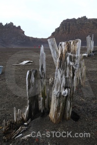 Antarctica cruise sand south pole whalers bay wood.