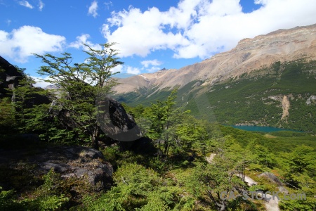 Argentina lake water landscape el chalten.