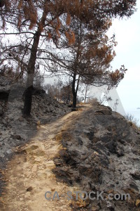 Ash burnt europe spain montgo fire.