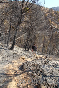 Ash europe burnt javea montgo fire.
