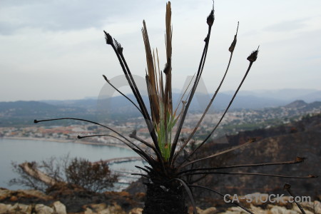 Ash montgo fire burnt europe spain.