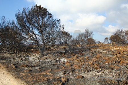 Ash montgo fire javea europe burnt.