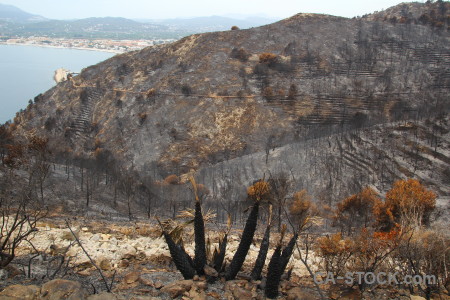 Ash montgo fire javea spain burnt.