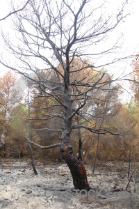 Ash spain montgo fire burnt europe.
