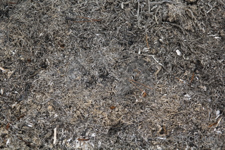 Ash texture europe spain burnt.
