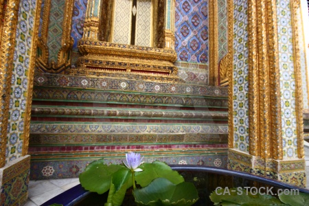 Asia thailand gold grand palace water lily.