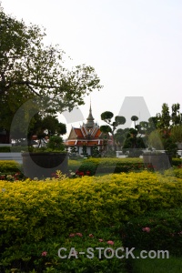 Asia tree buddhist wat arun building.