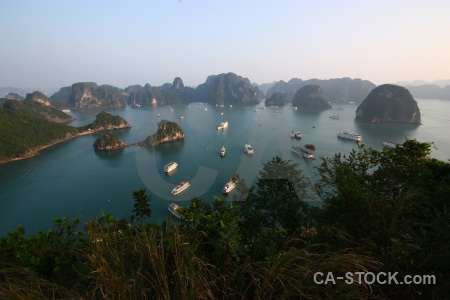 Asia unesco southeast asia tree vinh ha long.