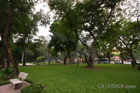 Asia vietnam sky grass hanoi.