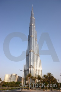 Asia western palm tree middle east burj khalifa.