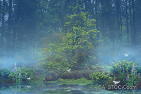 Backgrounds blue premade green fantasy.