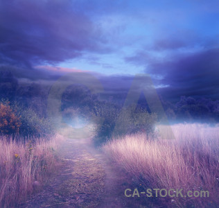 Backgrounds pink premade purple fantasy.