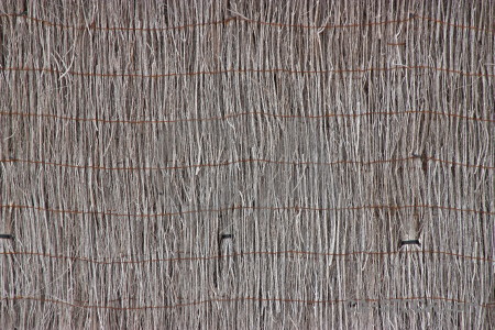 Bamboo wood stick nature texture.