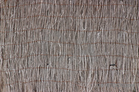 Bamboo wood stick texture nature.