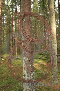 Barbed wire metal object rust.