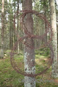 Barbed wire object rust metal.