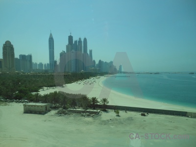 Beach tree middle east asia sand.