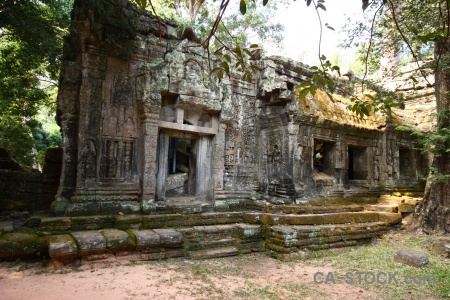 Block ta prohm lichen building tree.