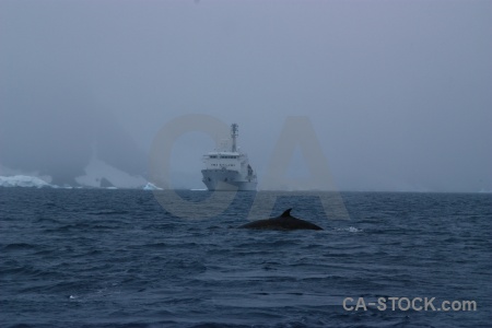 Boat water south pole day 9 akademik ioffe.