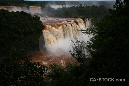 Brazil iguazu river unesco tree iguassu falls.