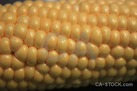 Brown yellow food corn orange.