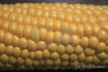 Brown yellow food orange corn.