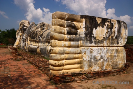 Buddha brick tree wat lokkayasutharam sky.