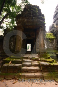 Buddhism angkor plant asia unesco.