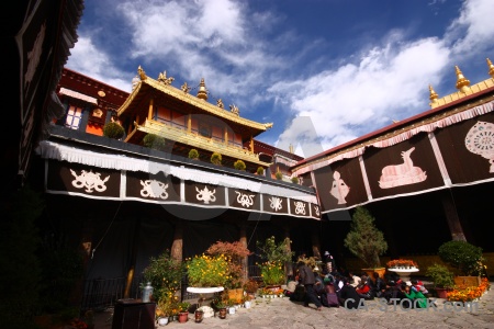 Buddhism qokang monastery buddhist bush altitude.