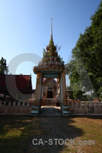 Buddhism tree ayutthaya thailand stupa.