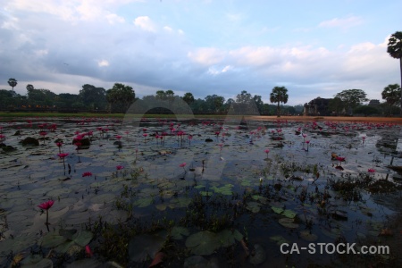 Buddhist siem reap water angkor temple.