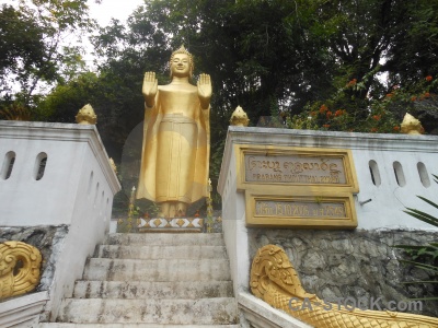 Buddhist tree phousi mount buddhism.