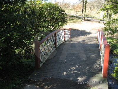 Building green bridge.